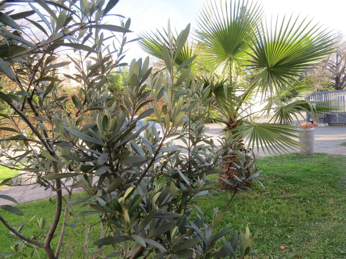 Hotel Kyriad Cap Sud Avignon Luaran gambar